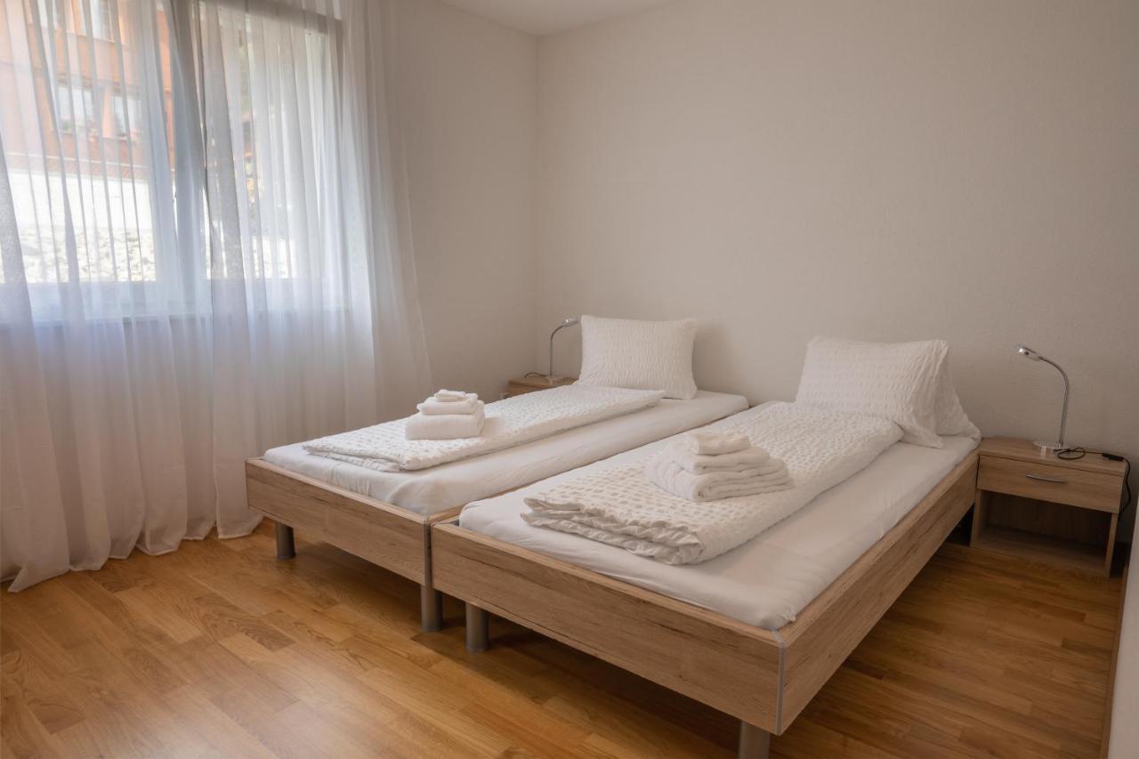Moench Apartment - Aare Jungfrau Ag Вільдерсвіль Екстер'єр фото