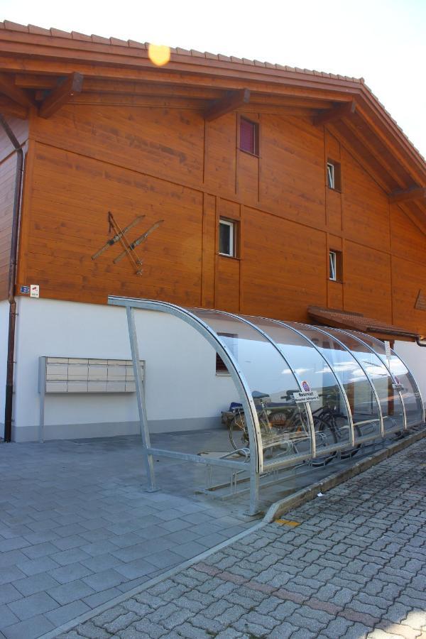 Moench Apartment - Aare Jungfrau Ag Вільдерсвіль Екстер'єр фото